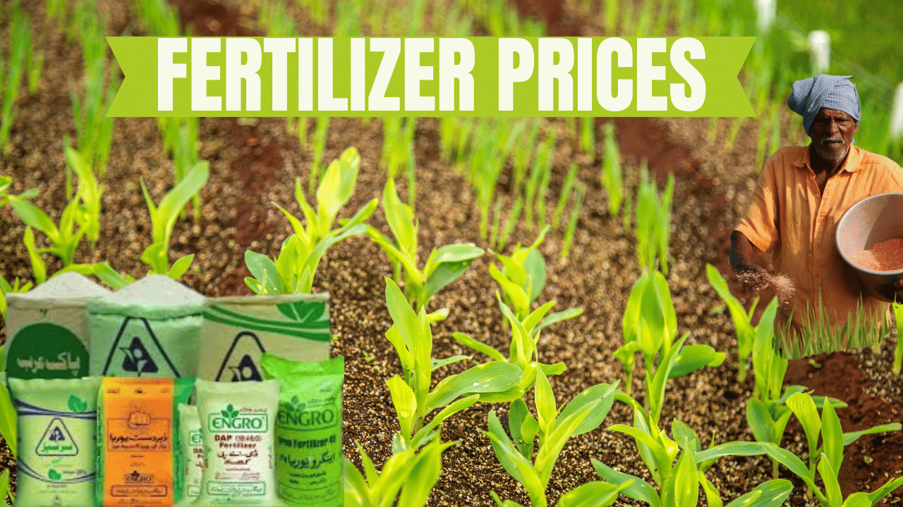 Fertilizer Prices